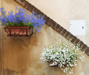 balcony gardening pots planters wall space urban greenie lifestyle home garden nursery plant shop 