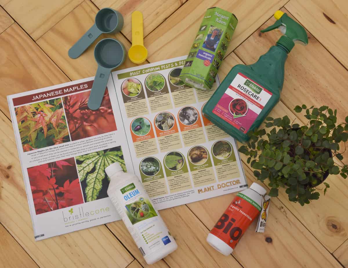 garden pests and diseases lifestyle home garden garden guide 