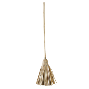 Grass Broom