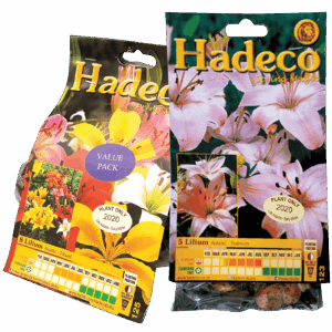 Hadeco Asiatic Lilium Bulbs