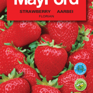 Mayford Mega Pack Seeds