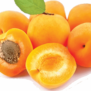 Apricot 'Soldonne'