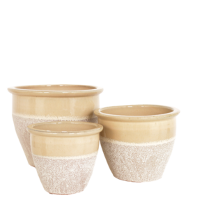 beige plant pots