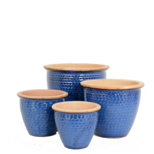 blue ceramic plant pots