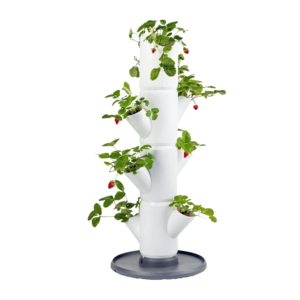Space-saving garden tower for strawberries on decks and balconies