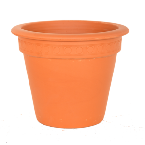 Functional 42cm Camelia pot for everyday gardening