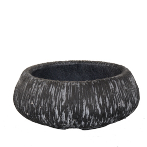 Unique Black Urchin planter adding edge to modern décor