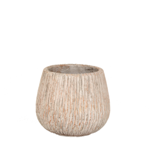 Lifestyle Home Garden Coconut pot for patio and balcony plants