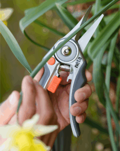 Quickly prune garden flowers with the durable NETA Aluminium Floral Pruner sold by Lifestyle Home Garden from Lifestyle Home Garden