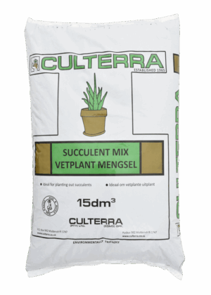 Culterra Succulent Mix