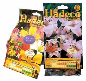 Hadeco Asiatic Lilium Bulbs