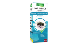 No Insect Indoors
