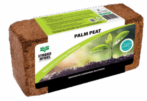 Palm Peat - Wrapped