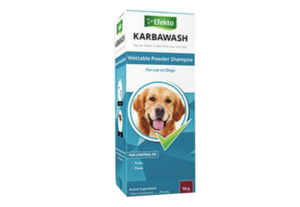 Karbawash